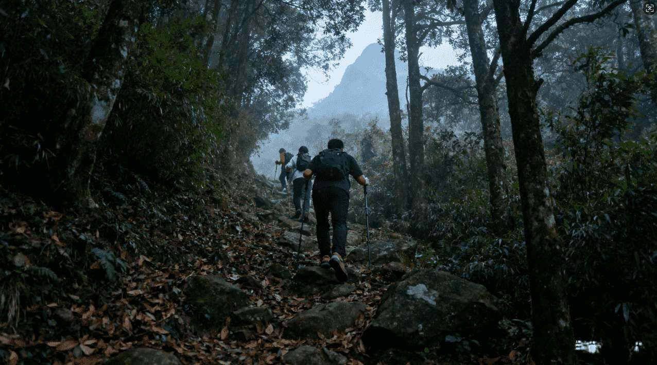 加速器如何有效取代传统梯子实现网络加速